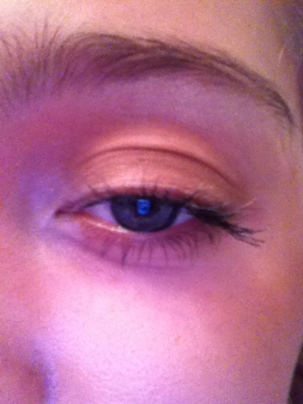 (Applied just to the lid)