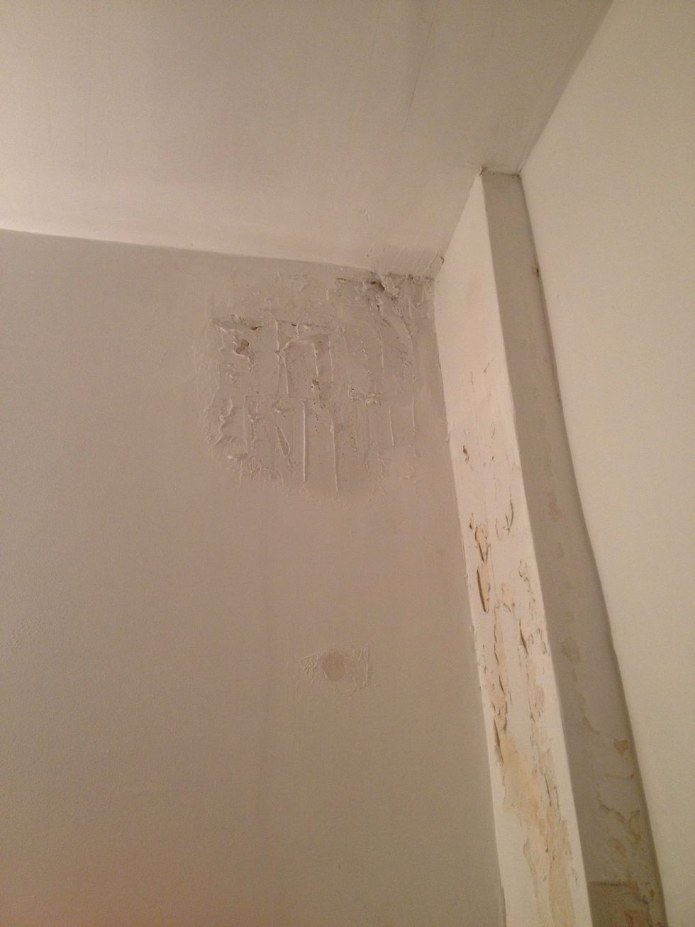 Apply generous first coat of plaster and wait to dry