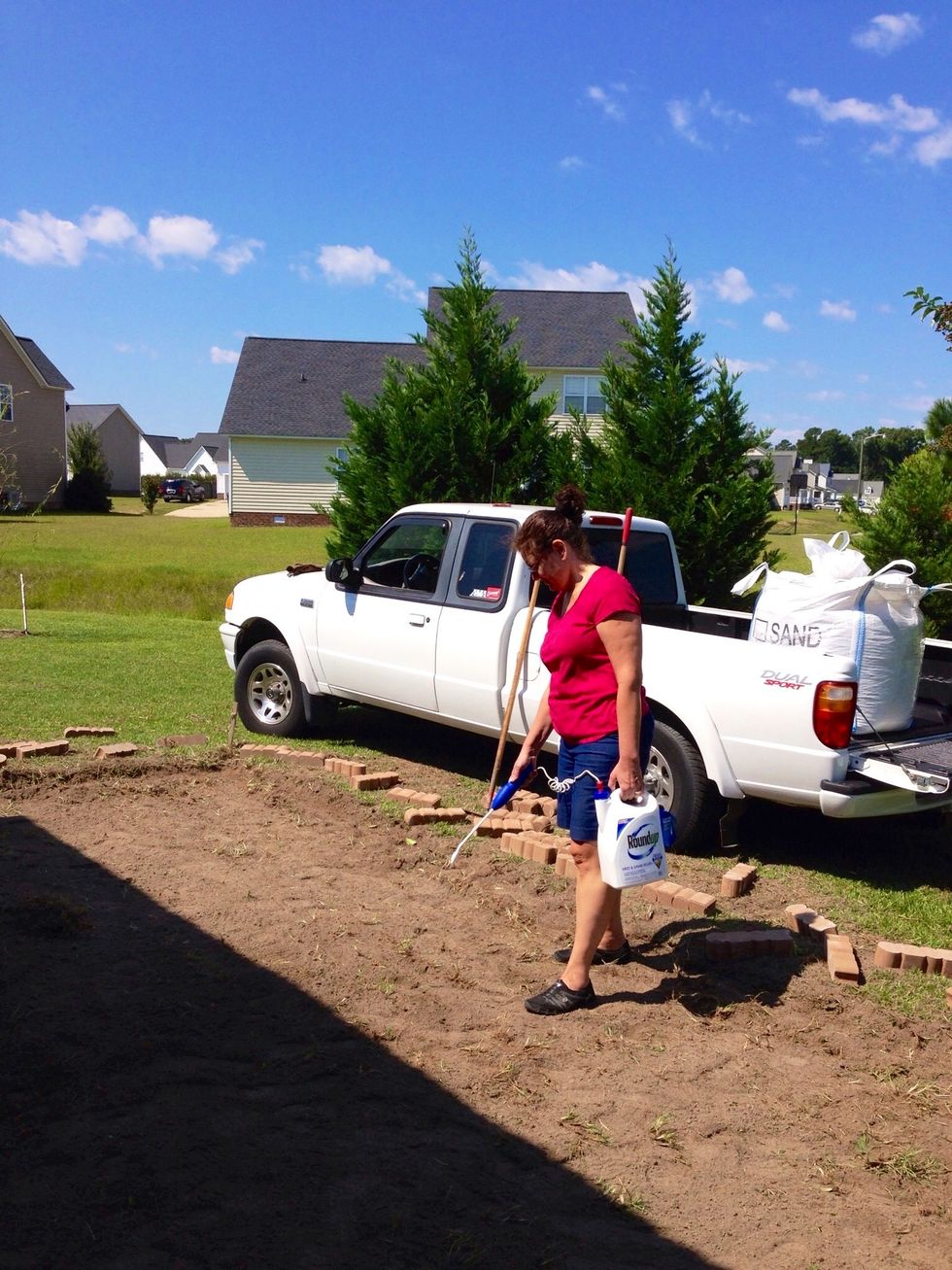 Apply grass and weed killer