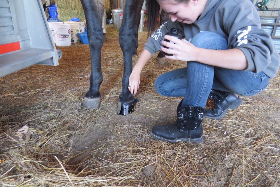 Apply hoof shine to the top of the hoof and let it run down. You can fill it in later.
