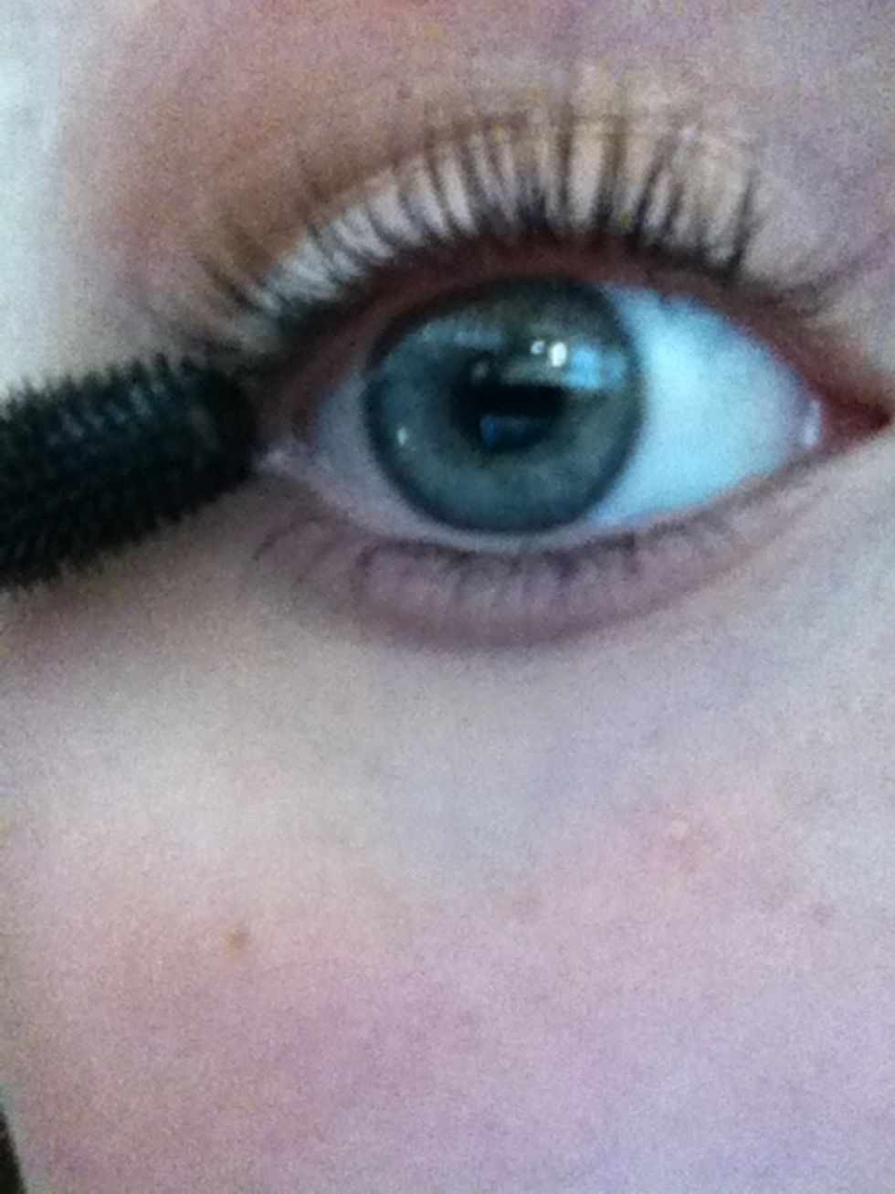 Apply to the corner of lashes as well.
