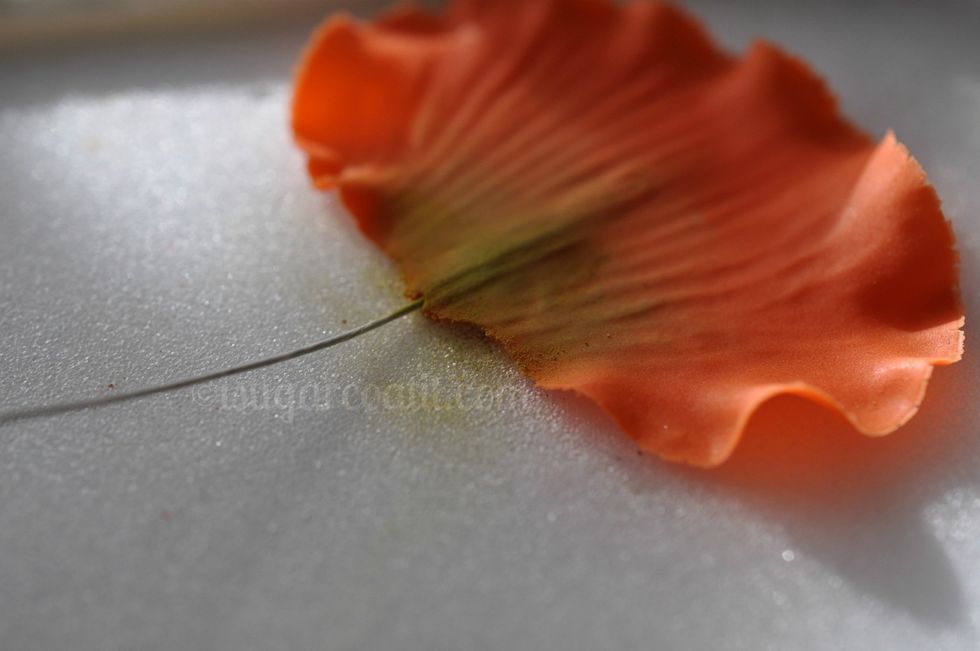 Apply to the lower third and center of each petal.