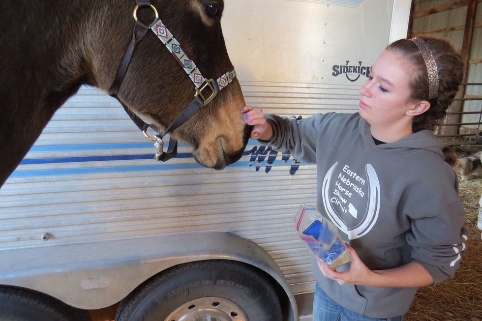 Apply Vaseline to the muzzle and eyes to get a shiny well-groomed look. Be careful not to use too much, or it will look greasy.