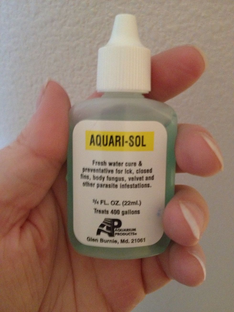 Aquarisol is a great preventative, but I'm not going to use it today. Why?