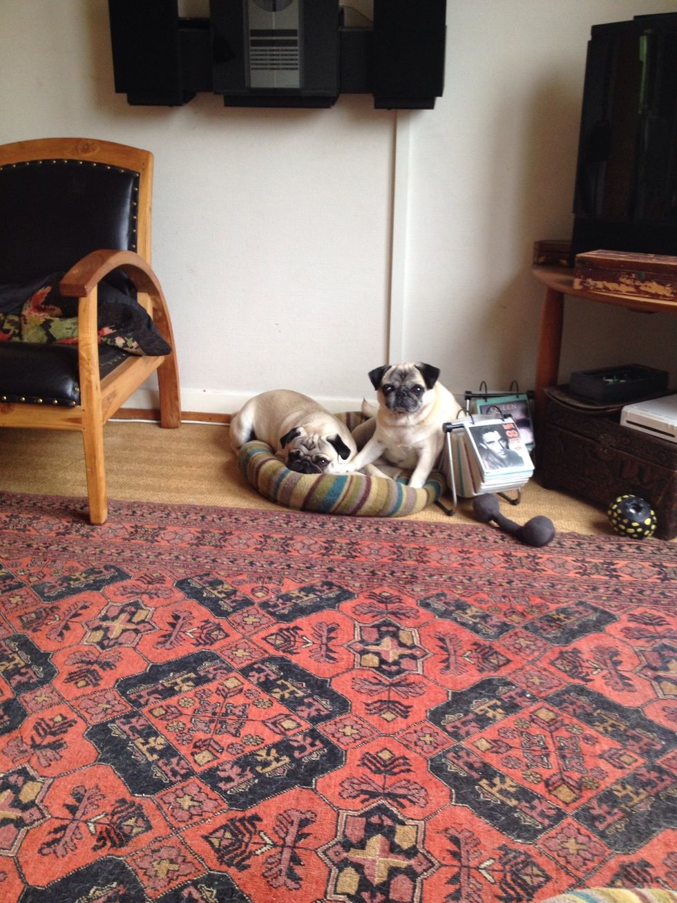 Are we going to have some? Me: no