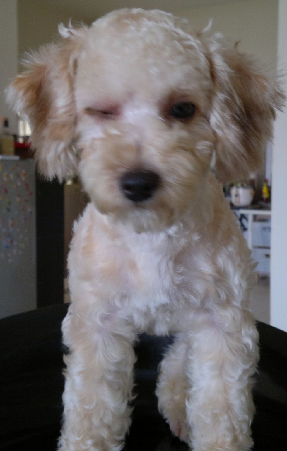 Are you looking at me???