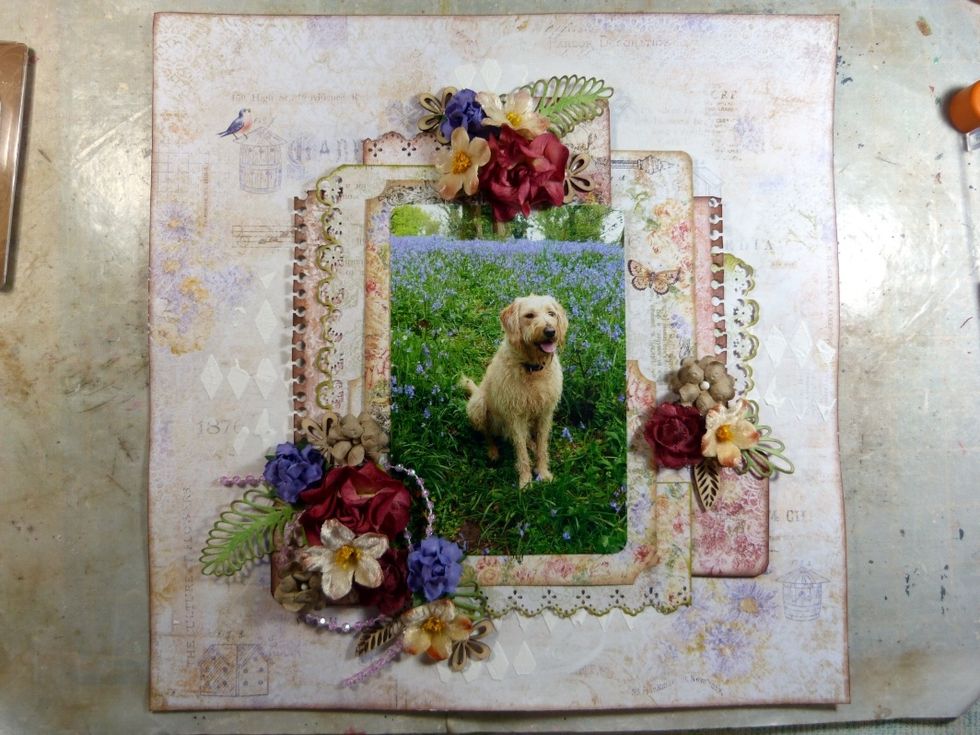 Arrange and glue down when happy with the design. Remember the 'rule of three' when adding your embellishments. It draws the eye around the layout.