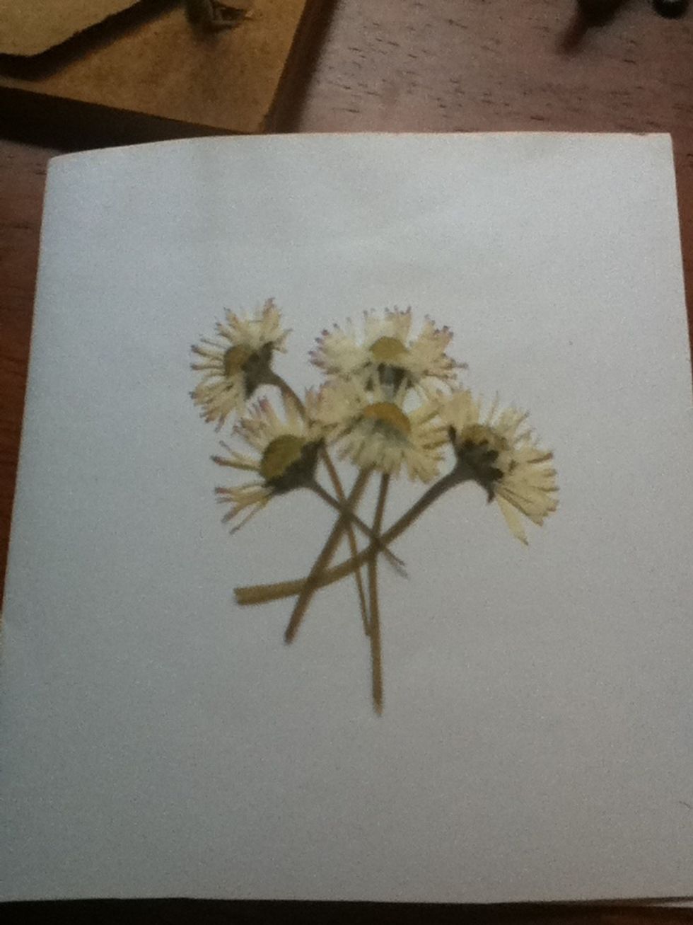 Arrange on your card how you like.