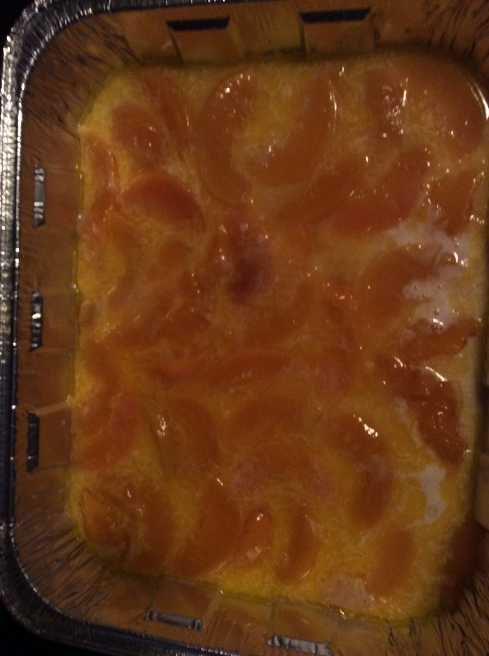 Arrange peaches in mixture and place in oven cook for 1 hour