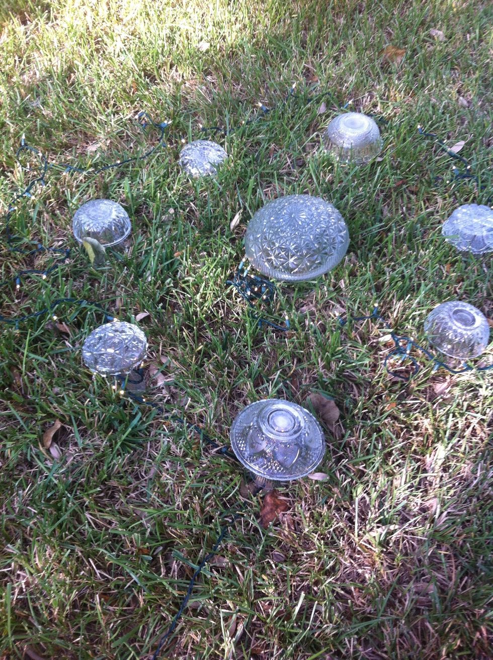 ARRANGE: Set up in a fairy pleasing arrangement.  Lay out strand of lights, distributing evenly around ring.