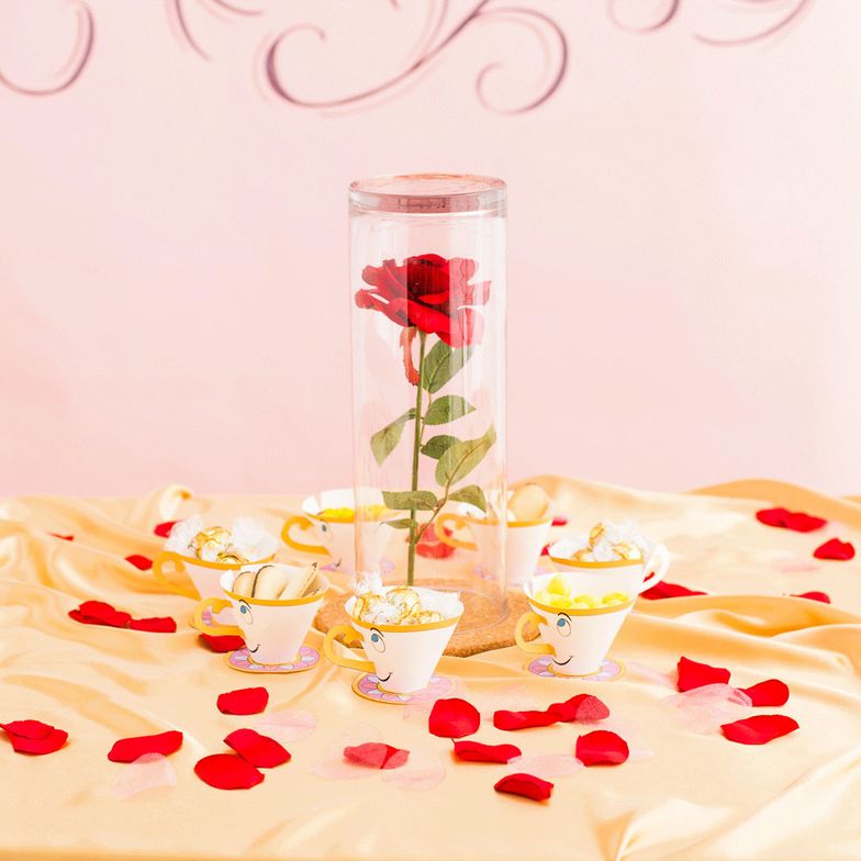 Enchanted Rose Beauty and Beast DIY 