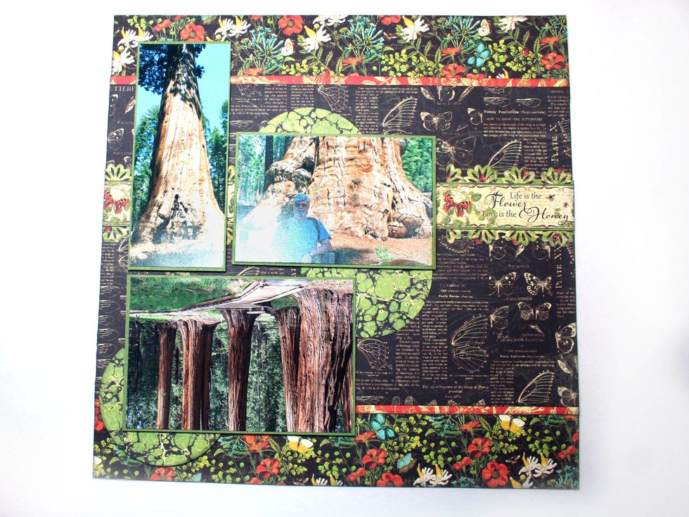 Arrange the photos and circles similar as shown. Mark the placement of the photos & circles.