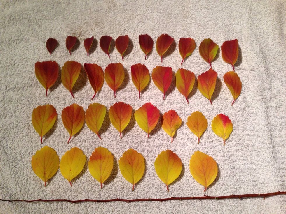 Arrange them after the size of the leaf, this makes it easier when you start putting them together