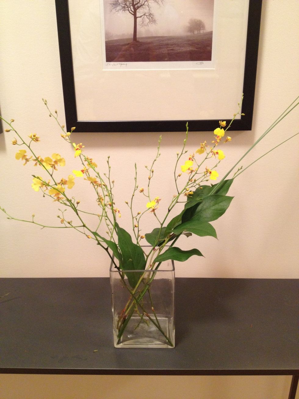 Arrange your oncidium orchids in the vase in a fan shape.