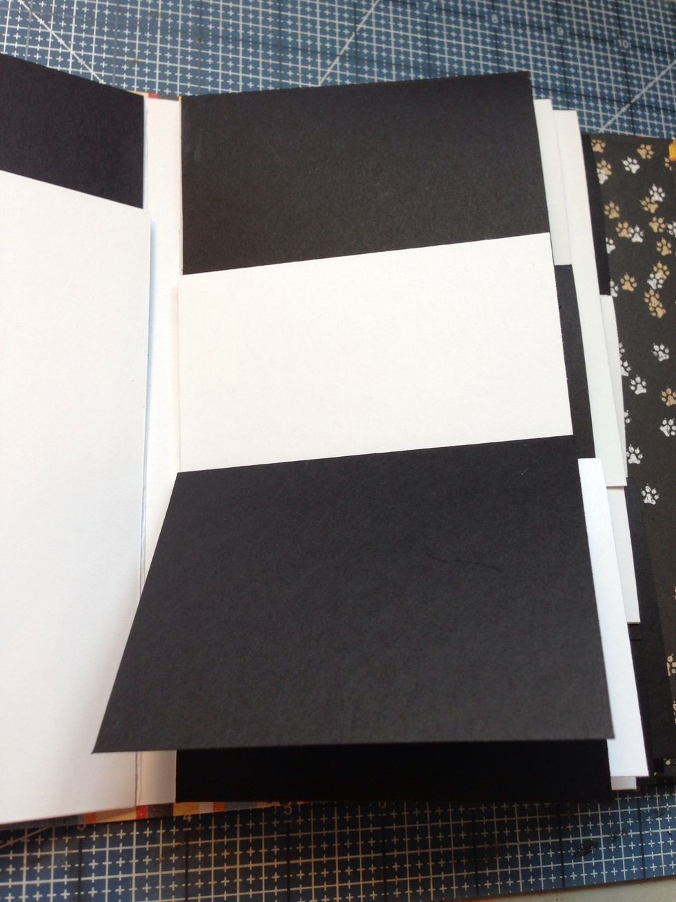 Arrangement of Fin C.