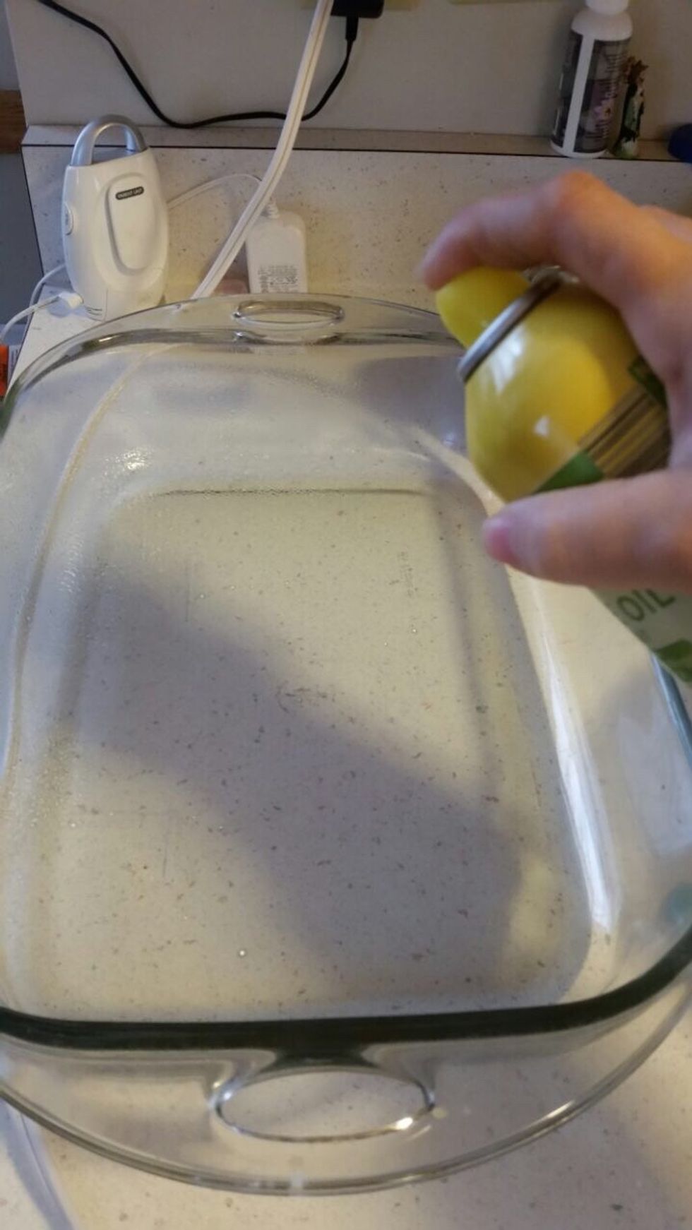 As shown on screen Pam is being sprayed in the pan