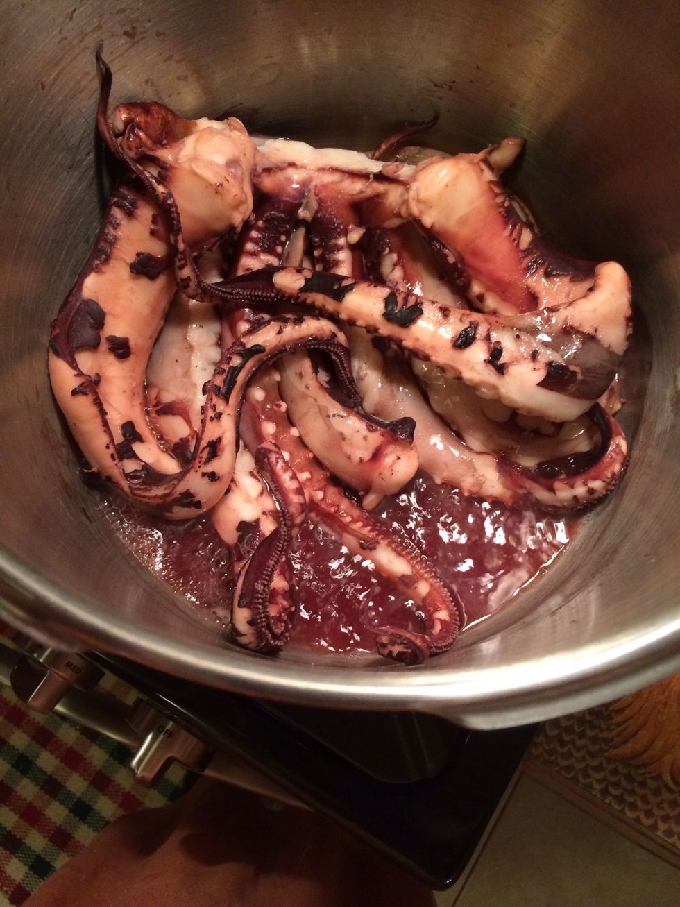 As soon as the octopus touches the hot water it changes color. Don't be alarmed.  I have put the cover on my pressure cooker to begin the tenderizing process.