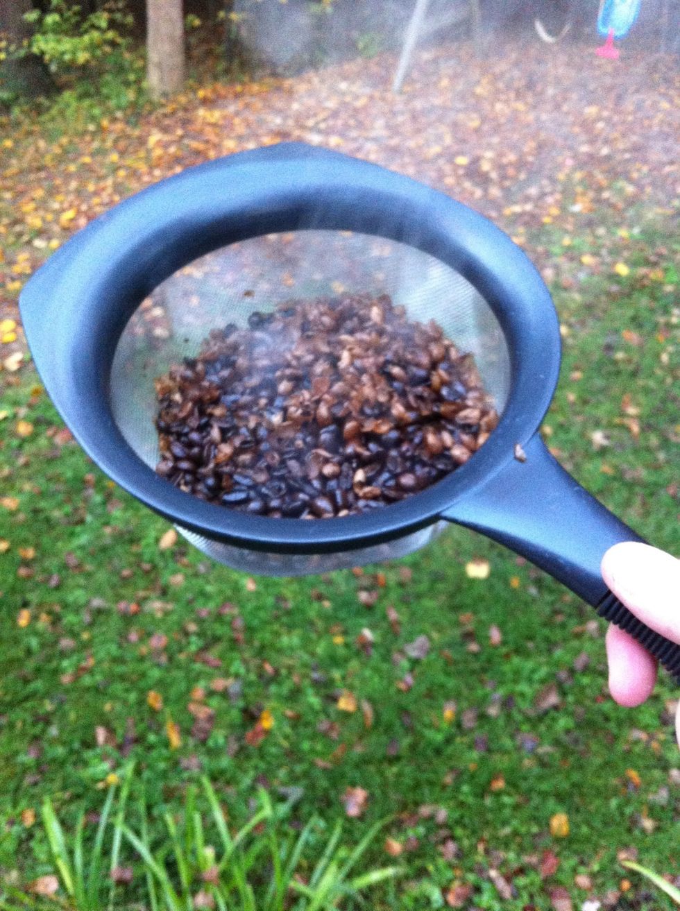 As soon as you're ready to remove your beans, take your Whirley Pop outside (leaving lid closed minimizes smoke) and pour contents into your strainer. Carefully toss beans, allowing chaff to blow away