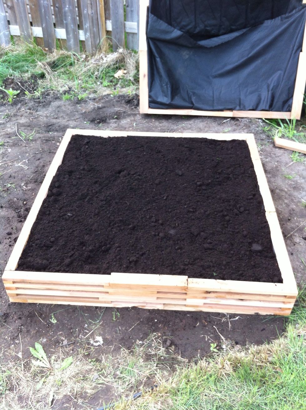 As you are filling your box makes sure you fold back the excess fabric and 'bury' it with soil. It makes it look cleaner. When the box is full use a rake to level out the soil.