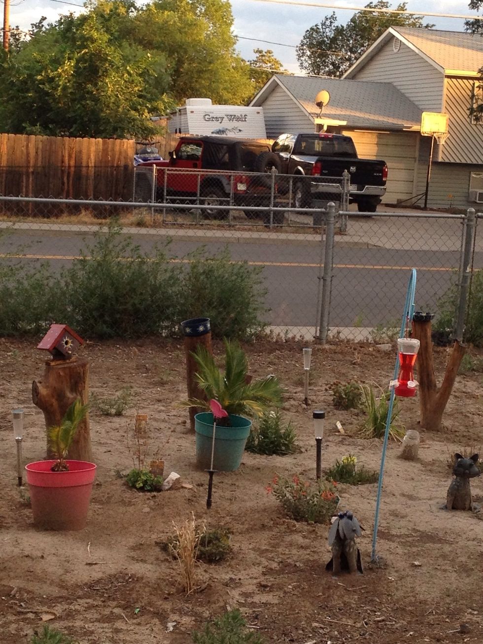 As you can see I have added another log with a small pan. I also hung a humming bird feeder. I placed my sego palms in the garden. This is a lot of fun watching it change.
