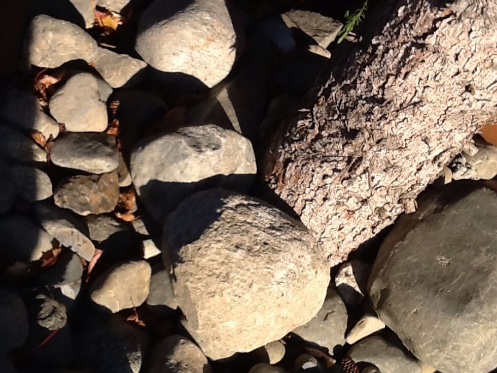 As you can see. The kids love gathering data.... (I.e.-using a hand held device for learning).