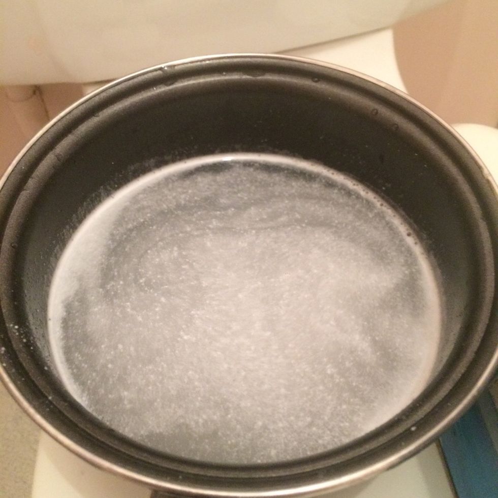 As you can see you don't want the water to be too soapy, just enough amount to have active enzymes to take the dirt of the bag