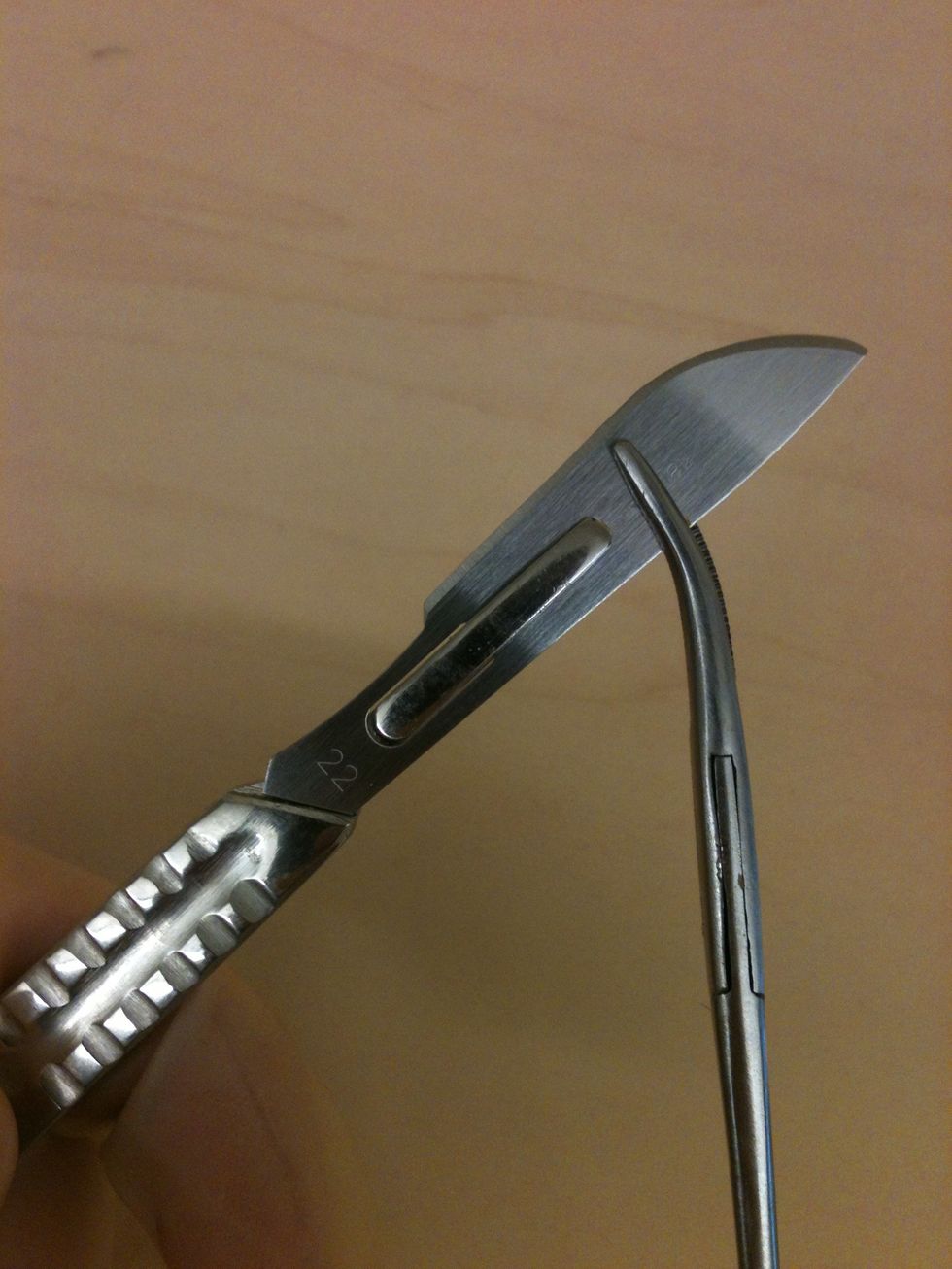 As you slide the blade down, it will fall into the small grooves in the scalpel handle. Keep moving the blade down until it clicks into place.