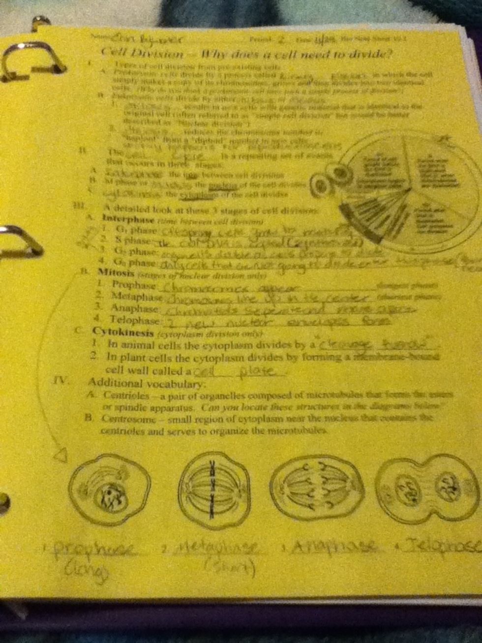 As you study your notecards, review notes also.