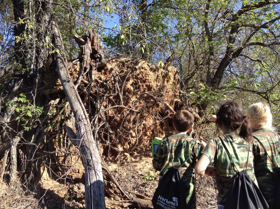 As you take a step towards the end of the field trip, you can experience a steep hill and some wild animals. Kidding! Those are kids from my school.