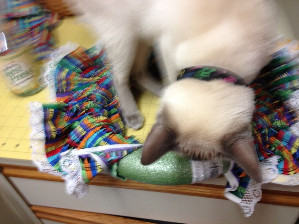 Ask the cat to move again