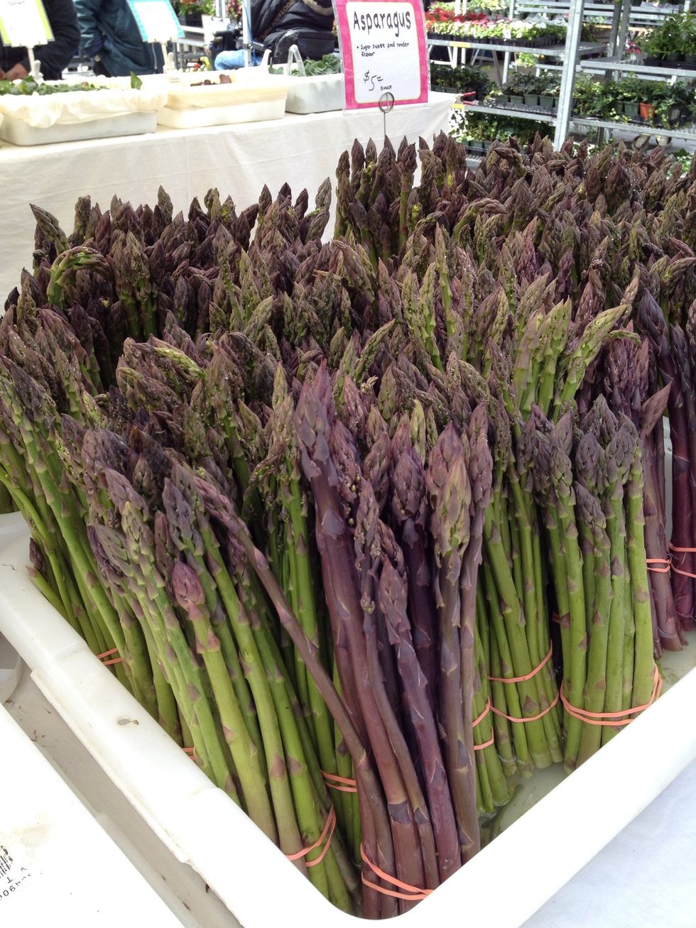 Asparagus, poached egg, bacon... Classic