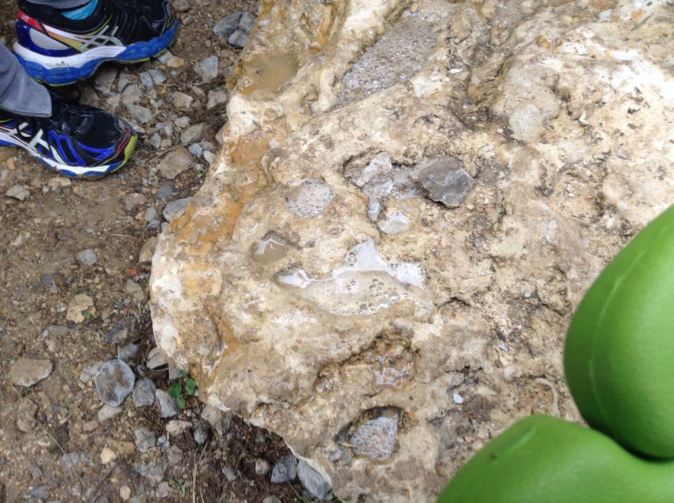 At each station, there will be a science question. For example, this picture shows the chemical reaction of vinegar and limestone, which was a question at a station. You will answer in notes app.