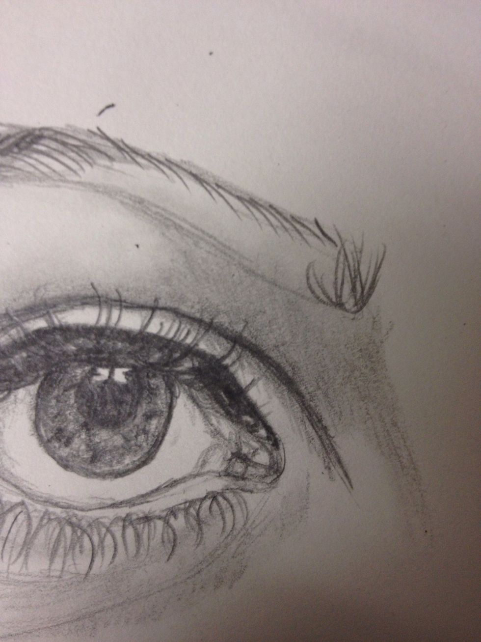 At the front of the brow draw slightly larger hairs.