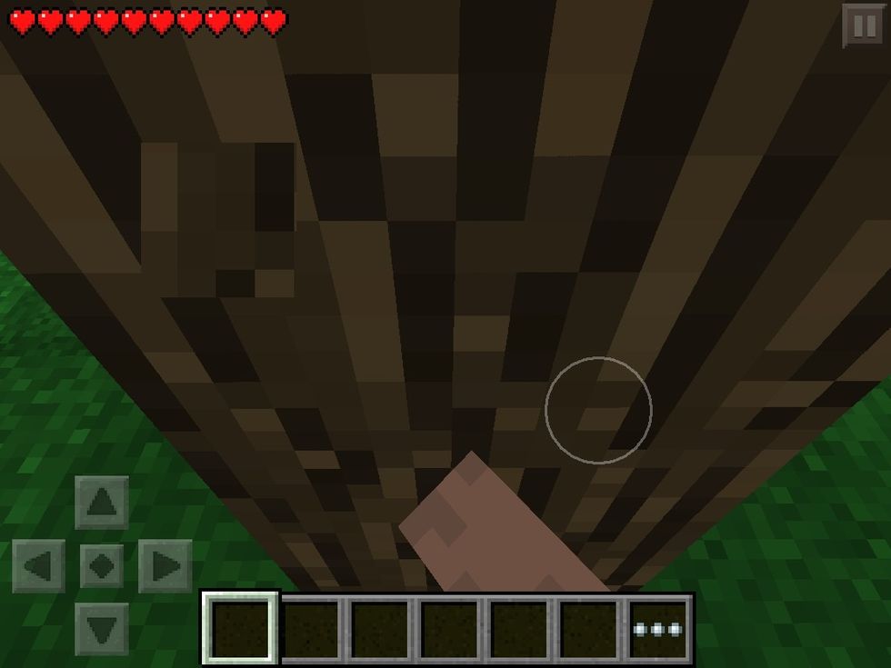 At the start it is best to collect as much wood as possible.