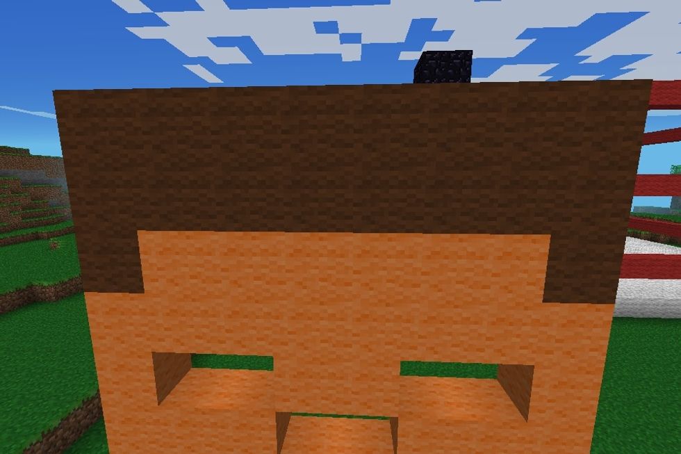 At the top do 2 lines of 8 brown wool and 6 orange wool under it. Place 2 brown wool either side of the orange wool