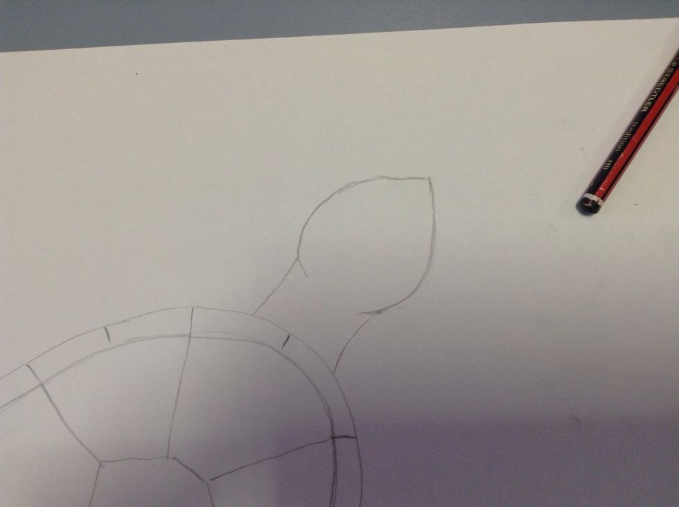 At the top of the shell, draw a neck and a water drop shape. This will be the head.