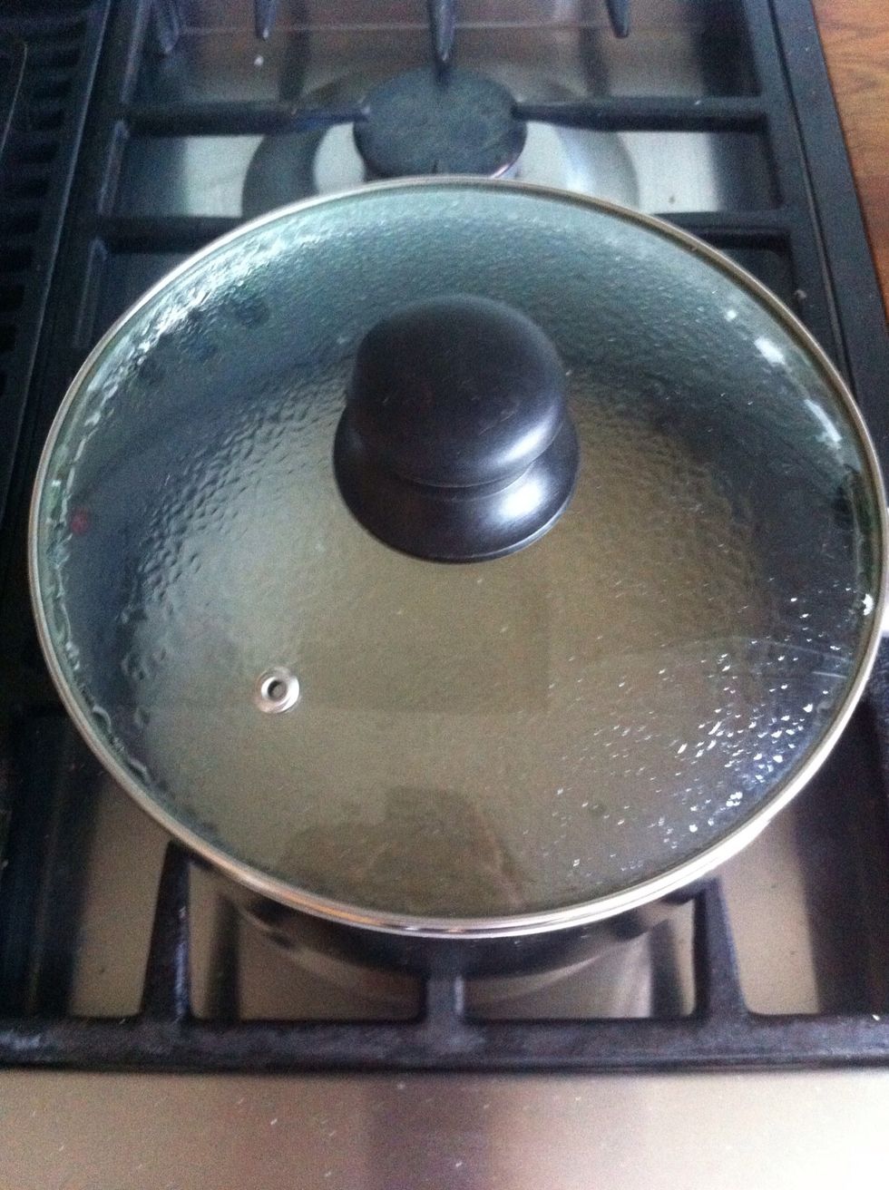 At this point I put my rice on to cook. It takes about 30 minutes for me to cook this rice, and its usually finished just after the korma.