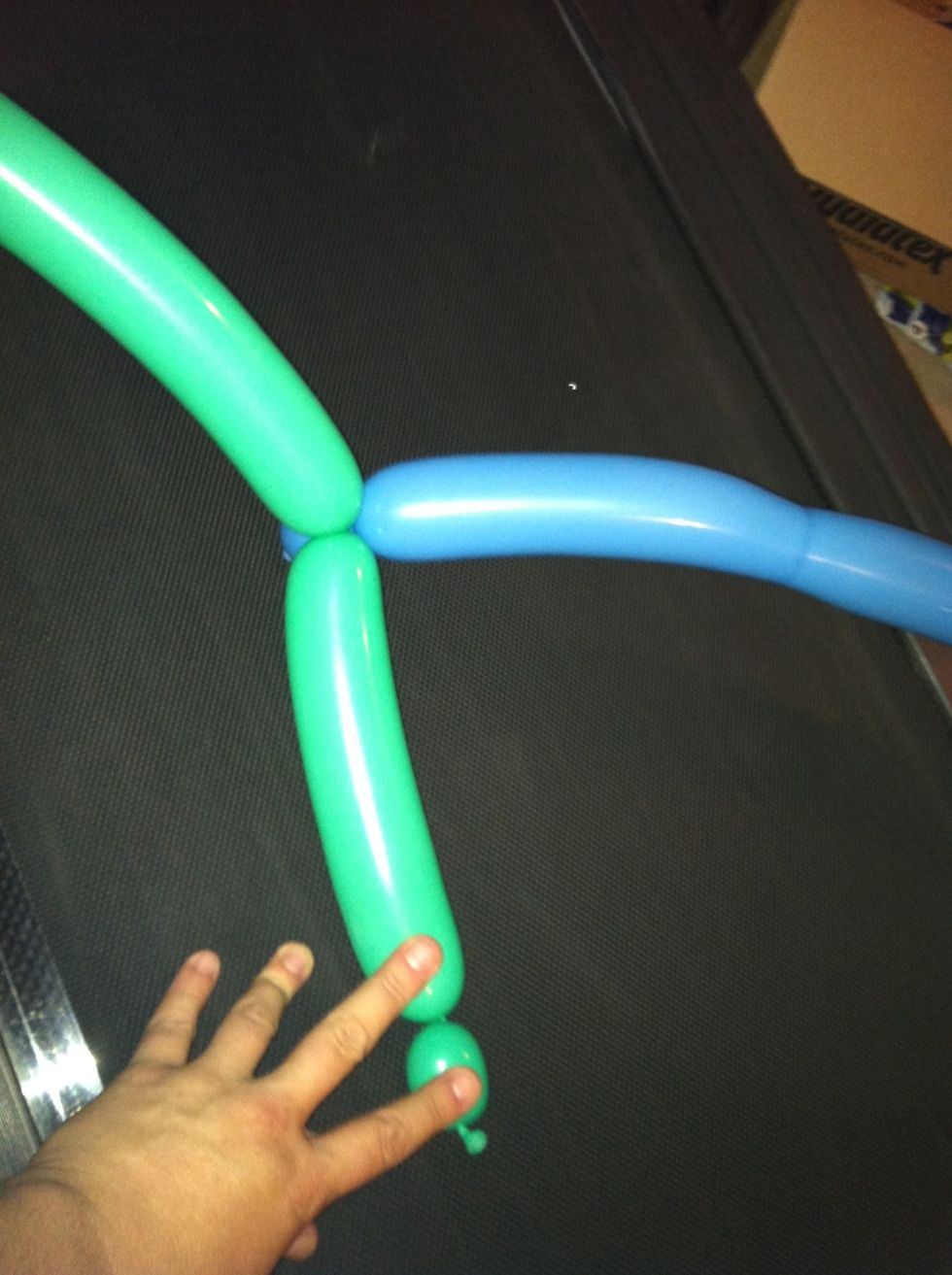 Attach one of the ends approx 7" up from the little bubble at the end. Then do the same on the other balloon