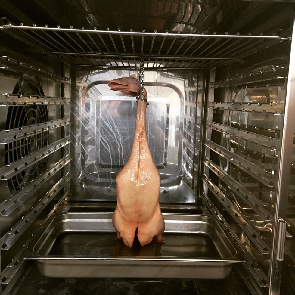 Attach the chilled duck with a hanger from its neck inside the combi cavity with a hotel pan placed underneath (to catch any drippings for a sauce).
