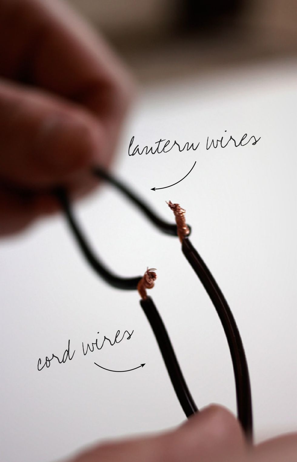 Attach the exposed wires of the lantern to the exposed wires of the cord. Match a lantern wire to either cord wire and twist together making a bridge.
