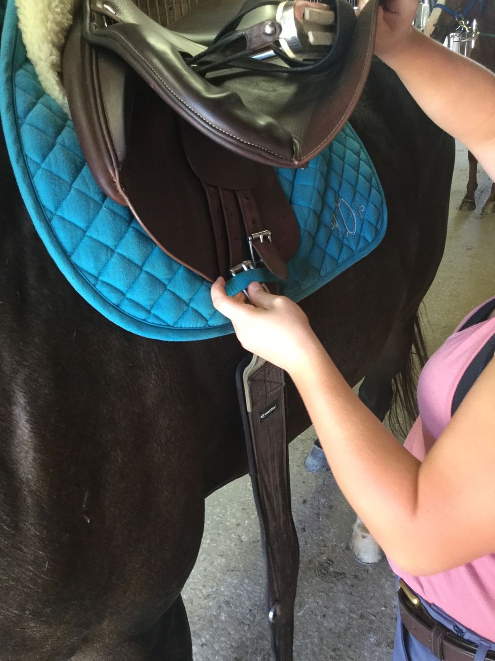 Attach the girth to the saddle and martingale.