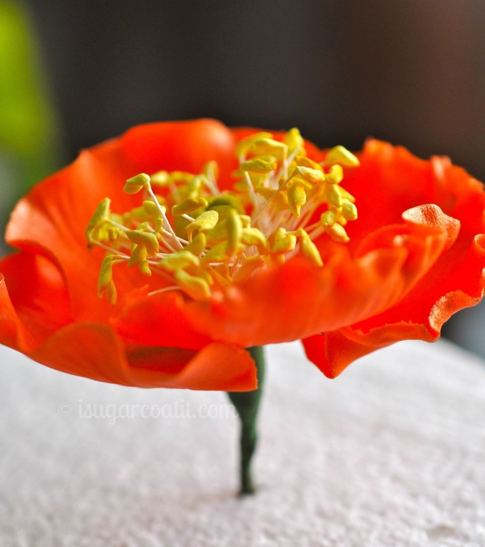 Attach the other three petals in the same manner as the first, overlapping slightly. War the tape along the length of the wires to complete your poppy!!