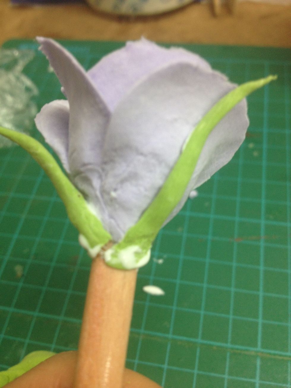 - Attach the sepals with white glue.