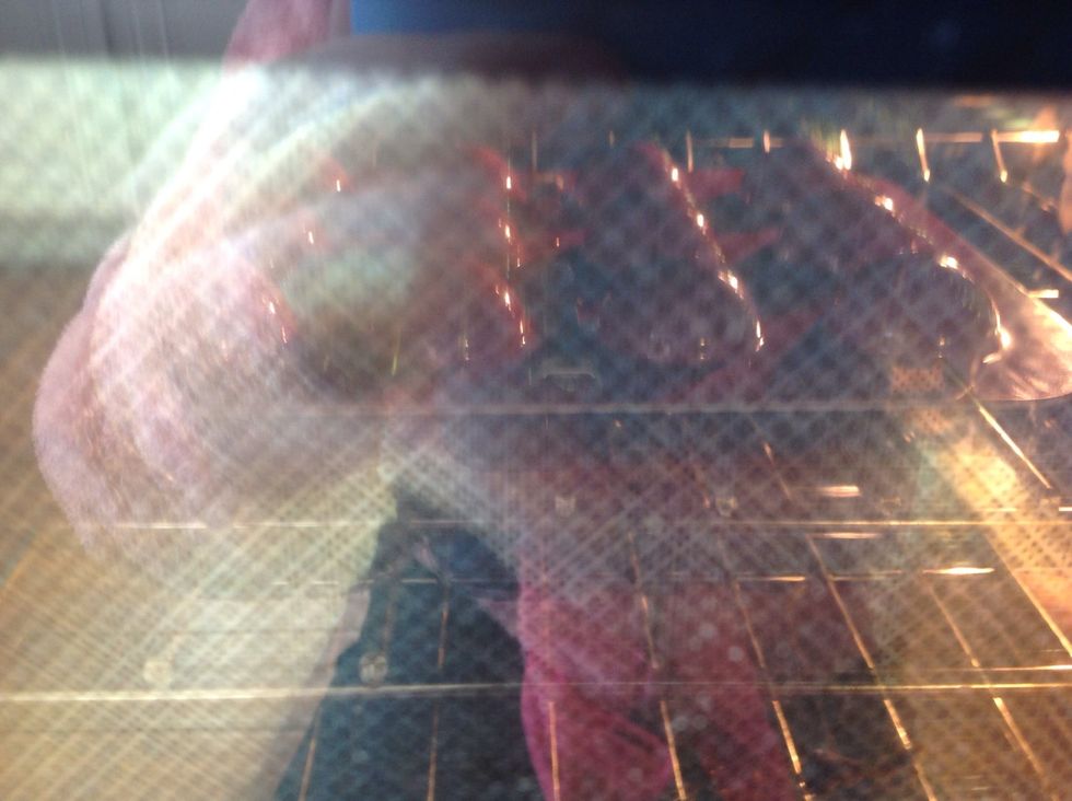 Bake at 20 mins. Keep an eye on it though. When the timer reaches 5, take it out and check.