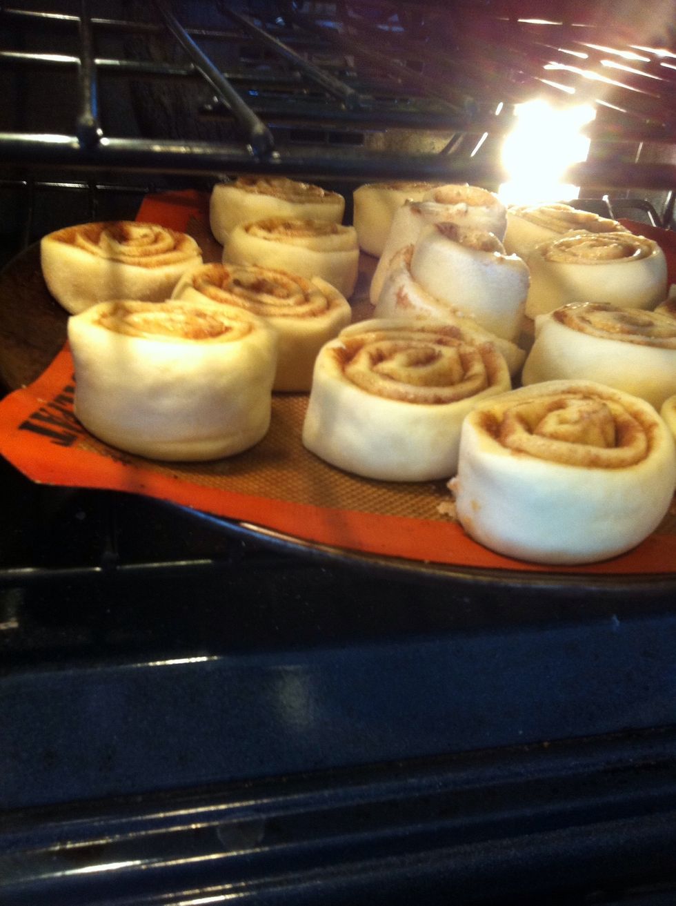 Bake at 350, for about 20 minutes. Bottom rack.