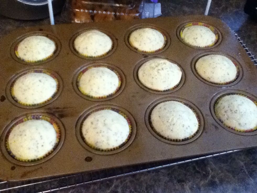 Bake for 16 minutes or so.