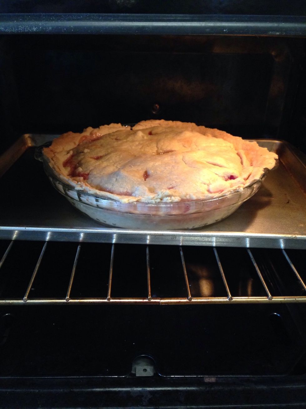 Bake for 40-45 min at 425 F (220 C).