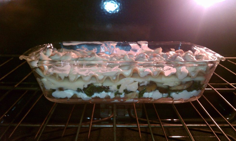 Bake lasagna