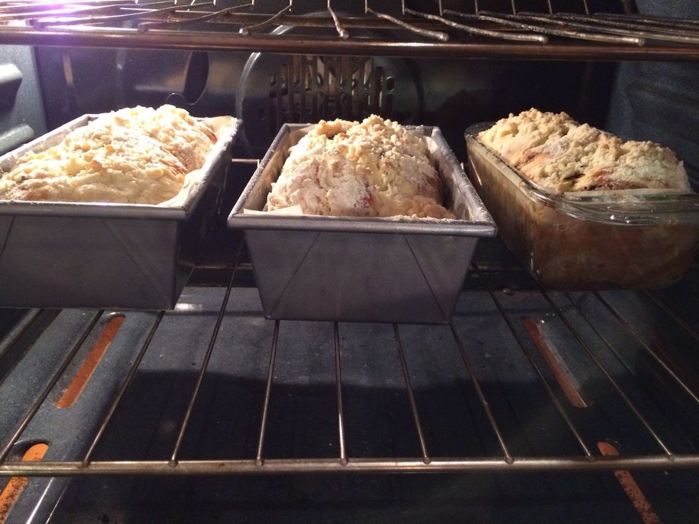 Bake the babkas until they are a deep golden, brown. This could take 10 to 20 more minutes.
