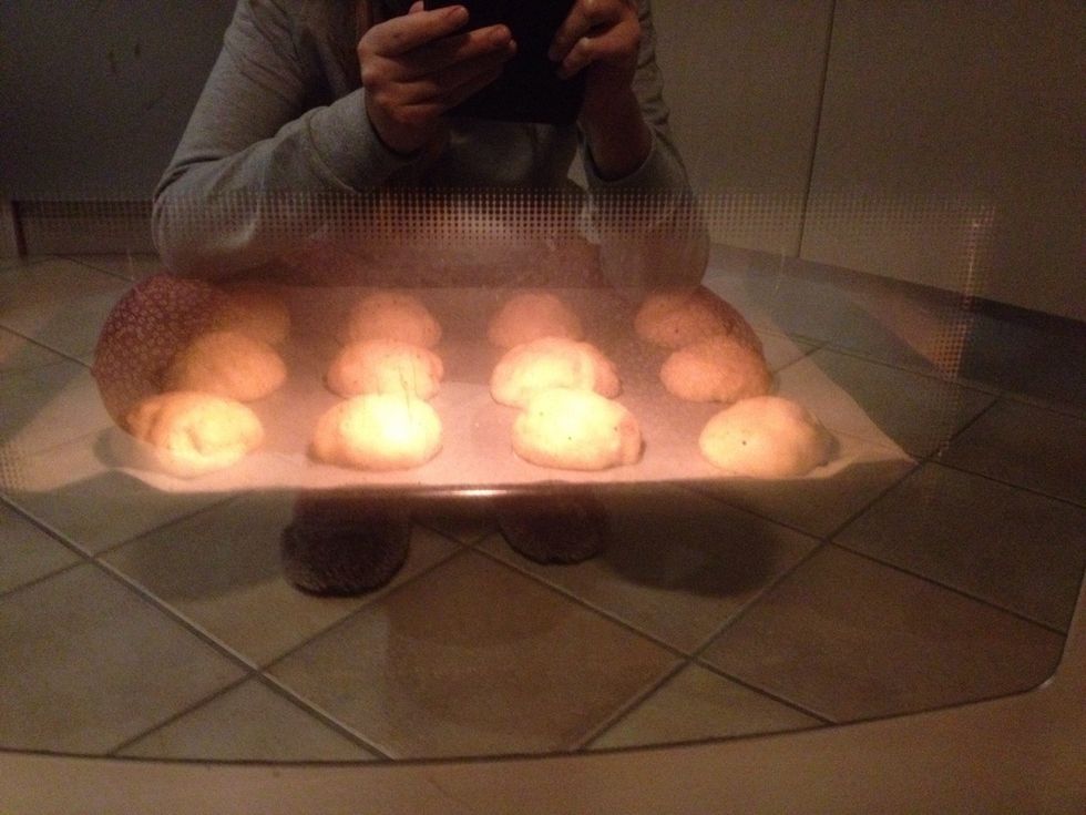 Bake the buns for around 10 minutes (or until they sound hollow, when you "tap" on the bottom of them) in a 220 C hot oven